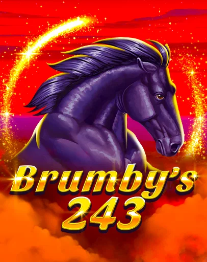 Brumby’s 243